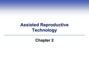 2.2 Male Reproductive System
