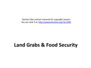 Land grabs and food security