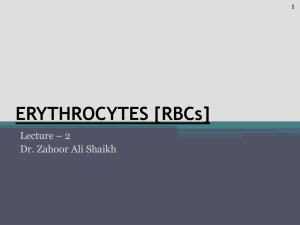ERYTHROCYTES [RBCs]