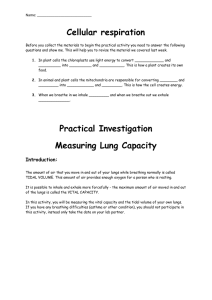 Measuring Lung Capacity - prac