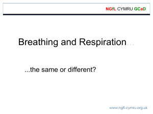 Breathing and Respiration