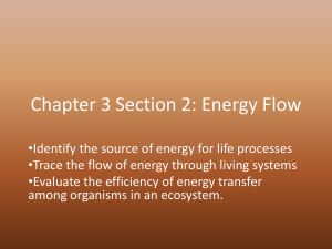 Chapter 3 Section 2: Energy Flow
