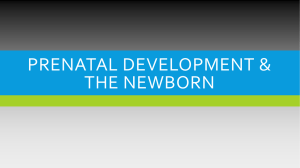 Prenatal Development & the Newborn