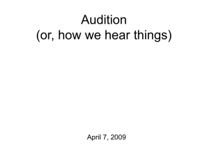 17-Audition