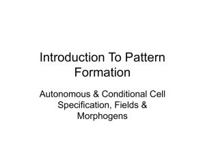 Introduction to Pattern Formation in Animal Development