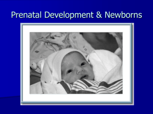 5/22: Prenatal & newborn development