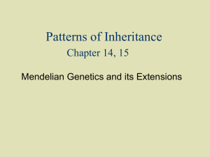 Paterns of Inheritance I