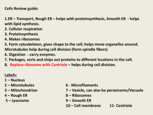 Cells Review guide - Effingham County Schools