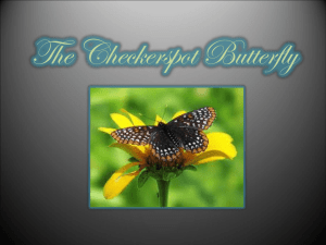 The Checkerspot Butterfly - Montgomery County Public Schools