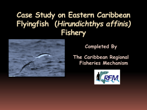 Fisheries management in CARICOM countries
