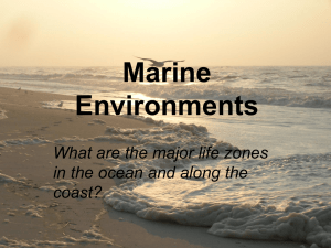 Marine Environments