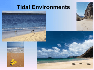Tidal Environments