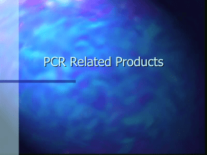 PCR Related Products