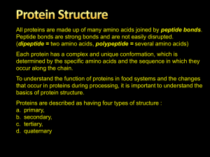Protein Structure - E