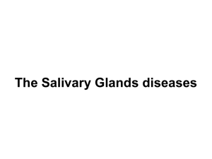The Salivary Glands diseases [PPT]