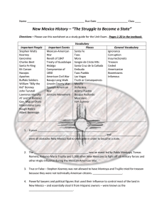 (Introduction) Worksheet – “The Struggle to