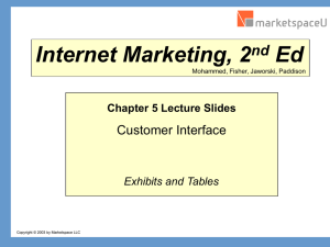 Internet Marketing Chapter 5 Customer Interface