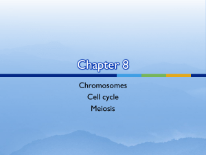Chapter 8 clicker review