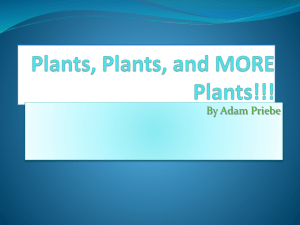 Plants, Plants, and MORE Plants!!!
