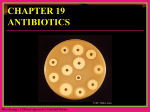 chapter 19 antibiotics