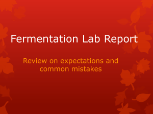 Fermentation Lab Report - Rebekah Lea Zemple