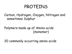 proteins - Biology