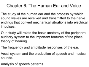 Ear and voice part 1