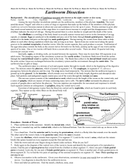 earthworm dissection doc earthworm dissection lab safety earthworm dissection doc earthworm dissection lab safety