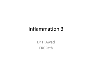 Inflammation 3