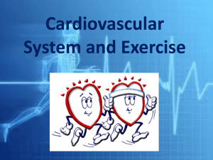 Cardiovascular System and Exercise