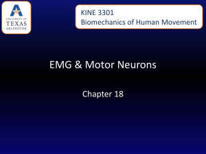 EMG & Motor Neurons