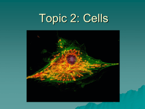 TOPIC 2 CELLS