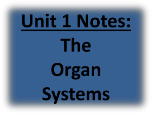 Unit 1 Notes: The Organ Systems & Biology Basics