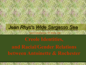 Creole Identities and Racial Relations in Jean Rhys's Wide