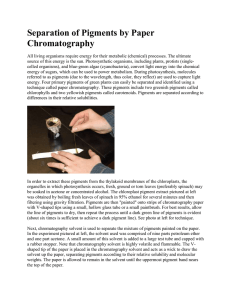 Separation of Pigments by Paper Chromatography