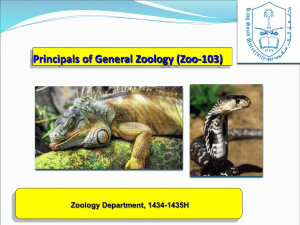 Principals of General Zoology (Zoo-103)