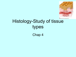 Histology-Study of tissue types