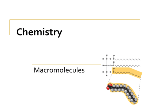 Chapter on Macromolecules