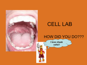 Cell Lab Review - Solon City Schools