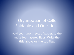 Organization of Cells Foldable and Questions