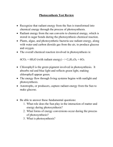 Photosynthesis Test Review