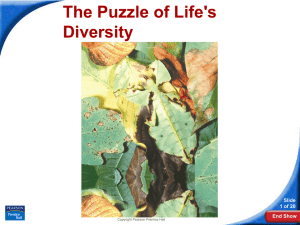 15-1 The Puzzle of Life's Diversity