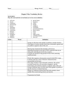 Biology Chapter 5 Key Vocabulary Worksheet