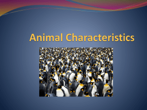 Animal Characteristics - Bishop Ireton High School