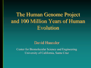 Using evolution to explore the human genome