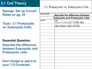3.1 Cell Theory