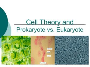 Scientists, Cell Theory and Prokaryote vs. Eukaryote