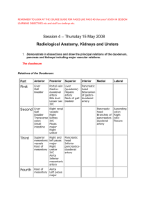 Session 4 – Thursday 15 May 2008