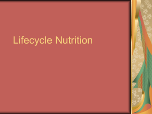 Lifecycle Nutrition - Central Washington University