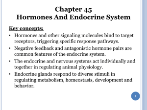 Chapter 45 Hormones And Endocrine System 2